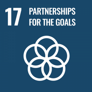 Group logo of Partnerships for the Goals